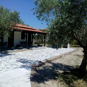  Διαμέρισμα Pappou's